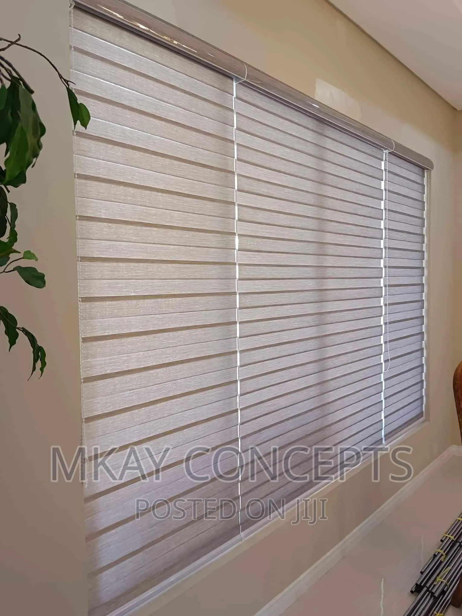 Quality Day and Night Windows Blinds