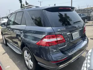 Mercedes-Benz M Class 2014 Gray