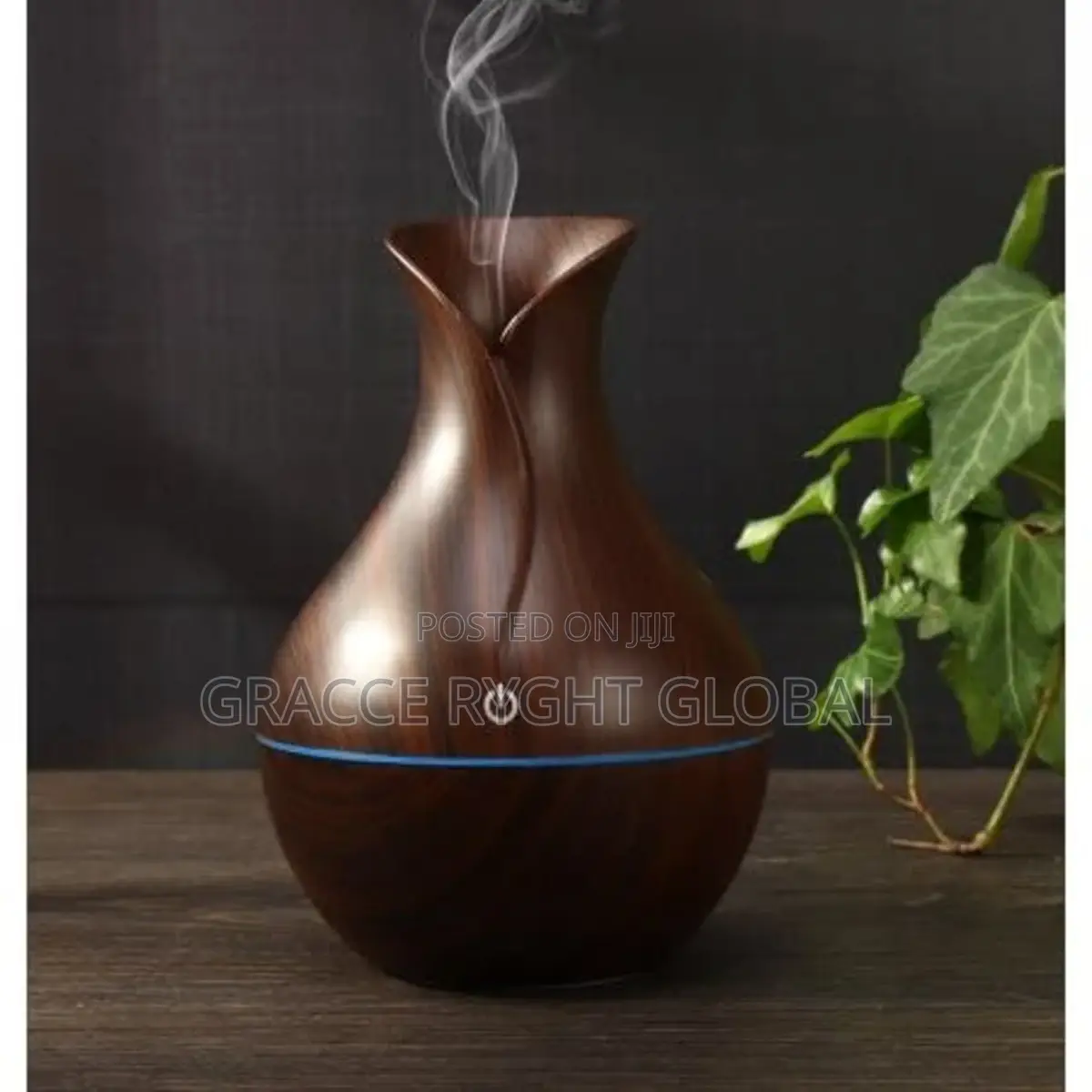 300ml Calabash Shaped Humidifier
