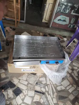 Electric Griddle