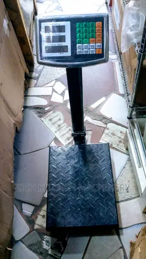 Standing Scale 100kg