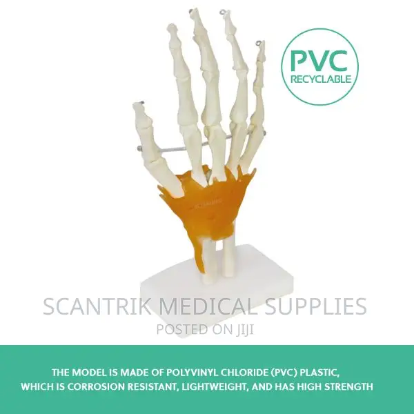 Flexible Hand Joint Model