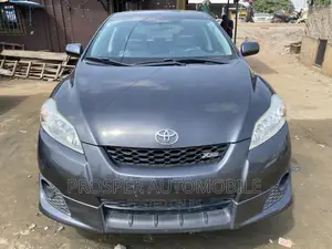 Toyota Matrix 2010 Gray