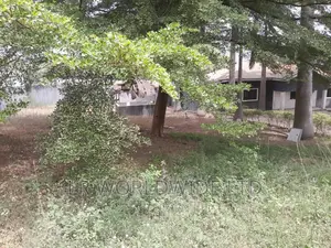 1300sqm Land Space for Sale in Maitama Main