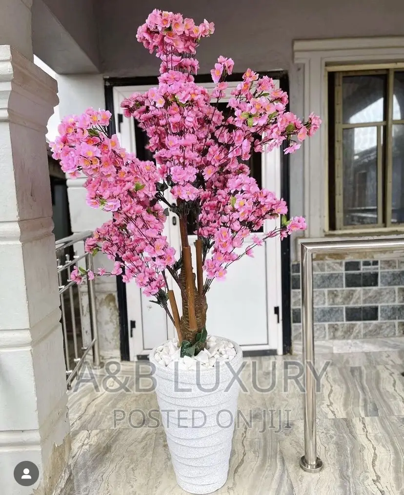 Cherry Blossom
