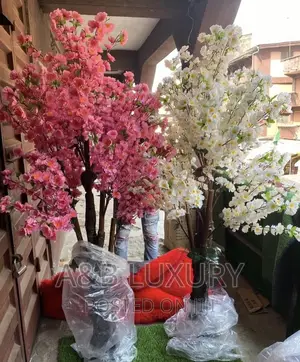 Cherry Blossom