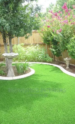 Carpet Grass