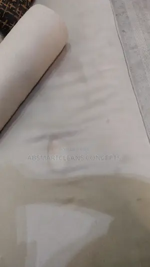 Rug , Bedframe, Couch Cleaning Services