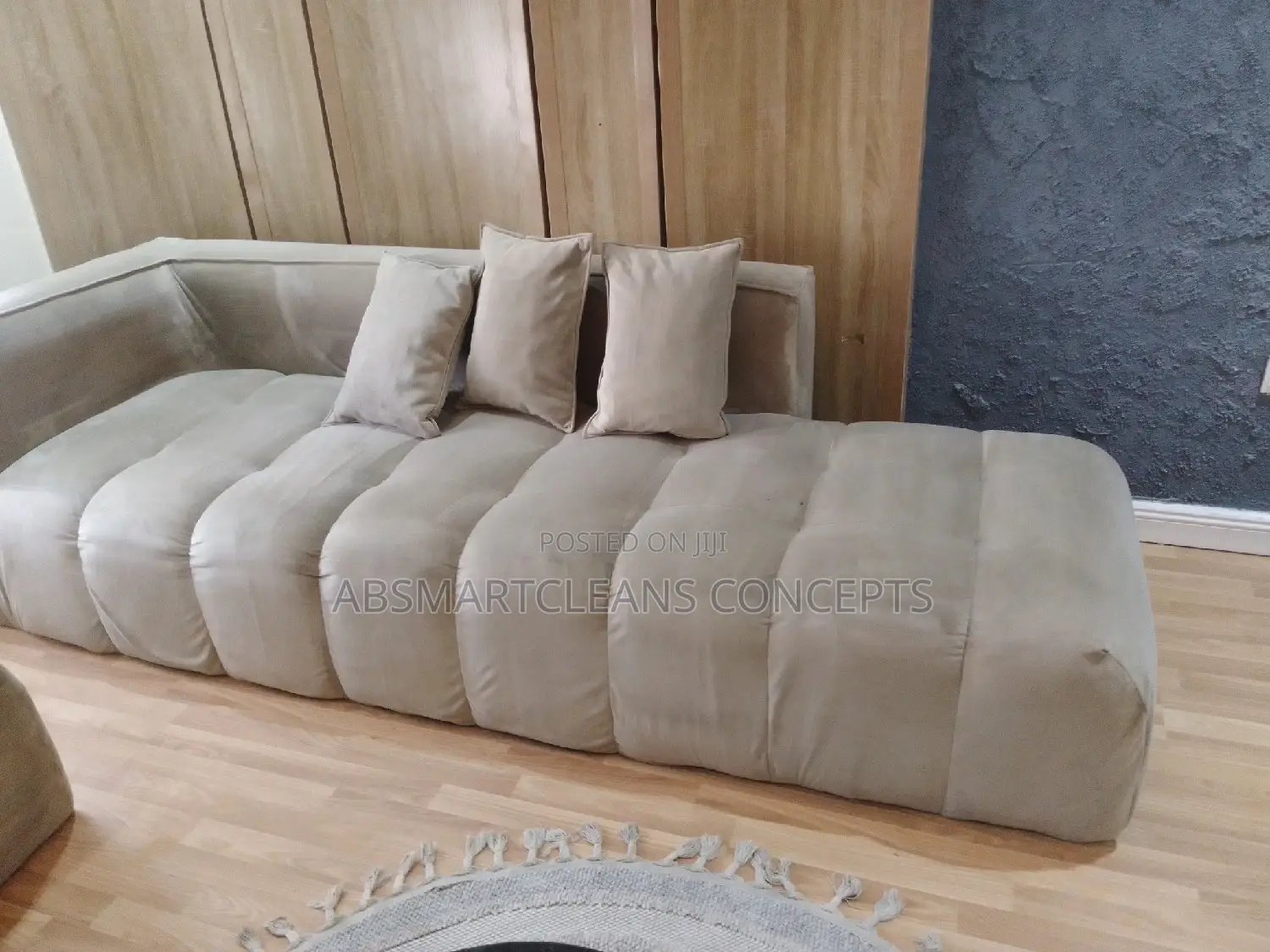 Couch and Bed Frame Cleaning Services