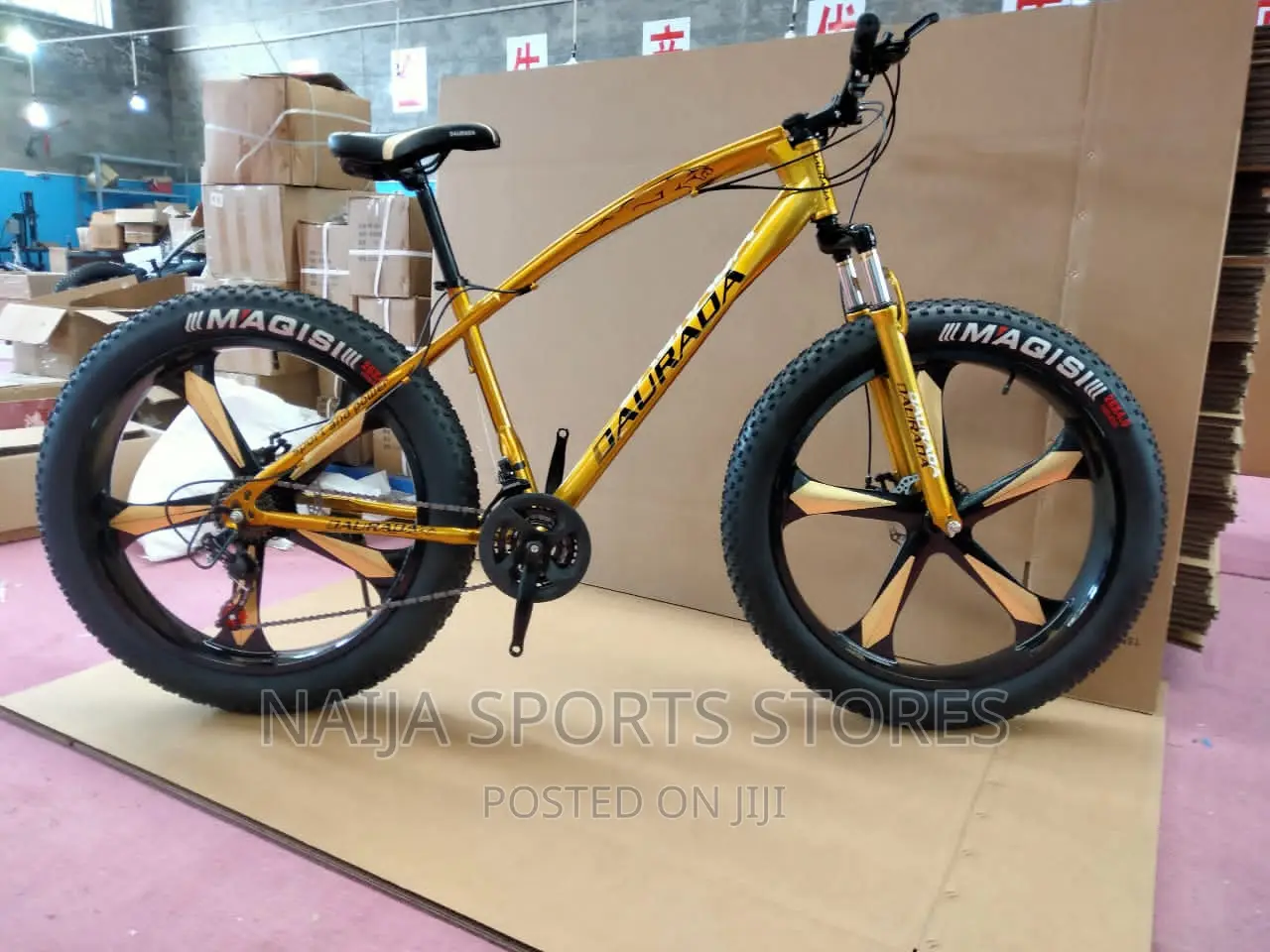 Affordable Fat Tyre Bike