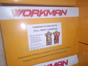 Workman Safety Belt