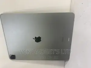 Apple iPad (2022) 256 GB Gray