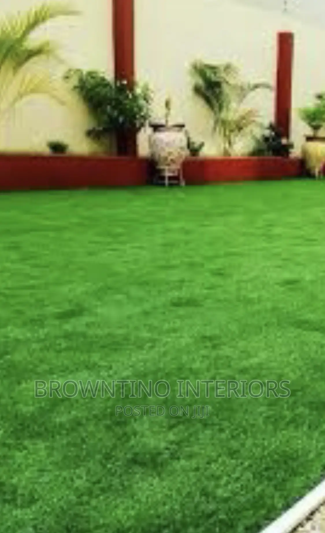 Carpet Grass
