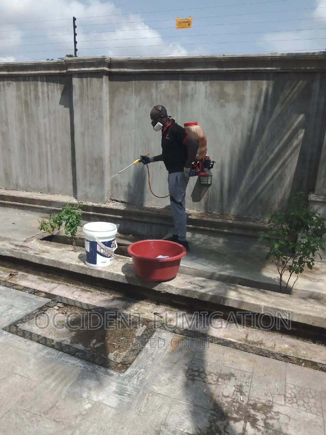 Pest Controller/ Fumigation