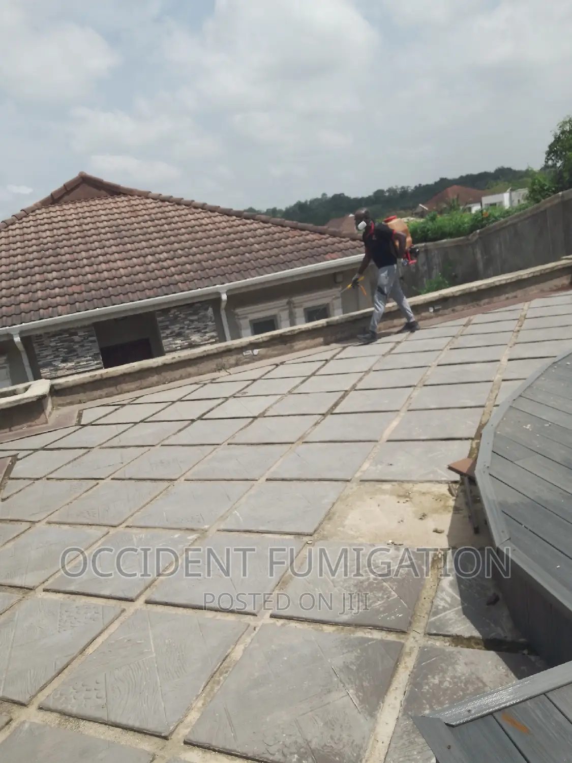 Pest Controller/ Fumigation