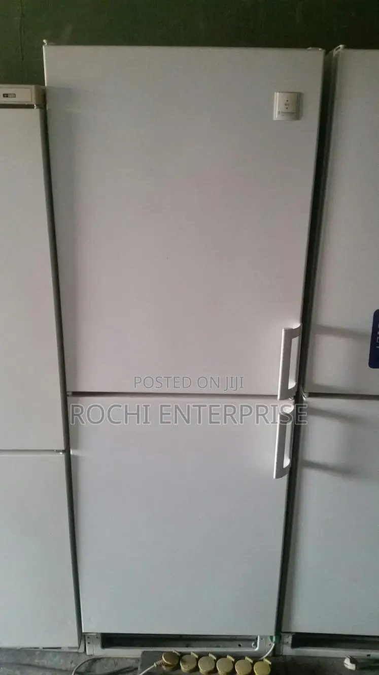Double Door Fridge and Freezer