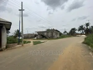 Fish Farm and Poultry