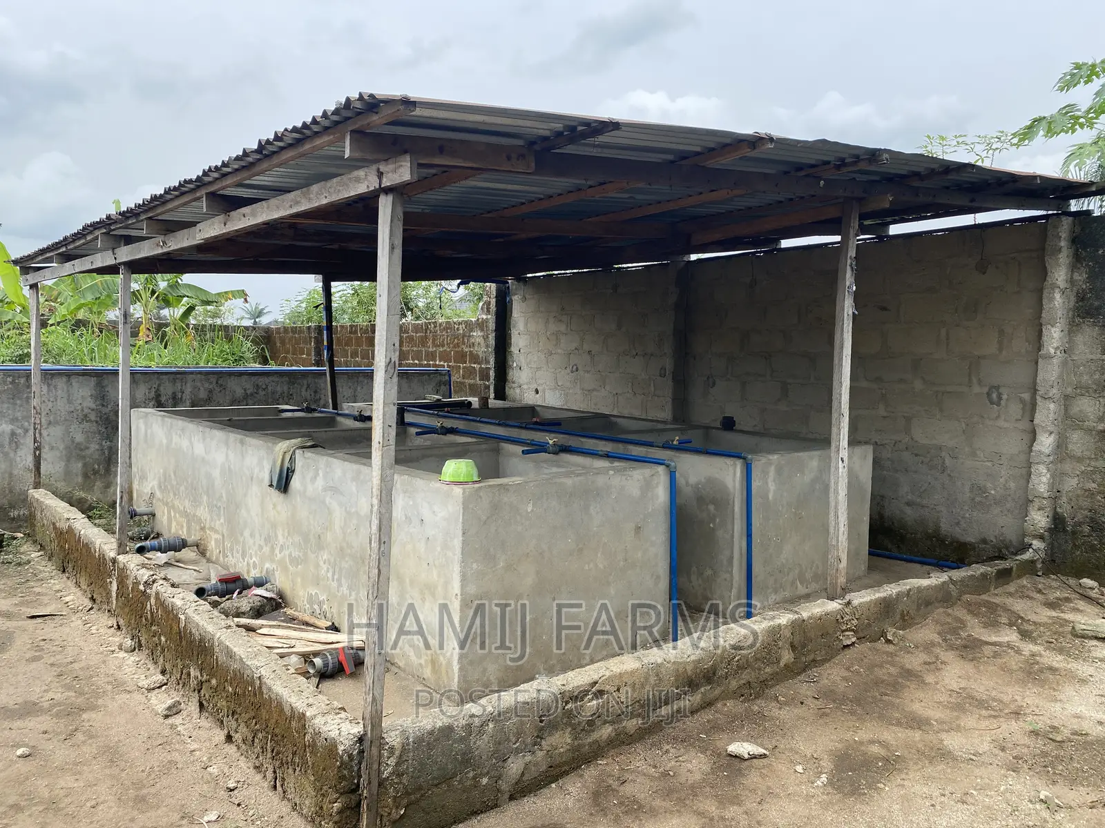 Fish Farm and Poultry