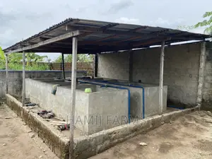 Fish Farm and Poultry