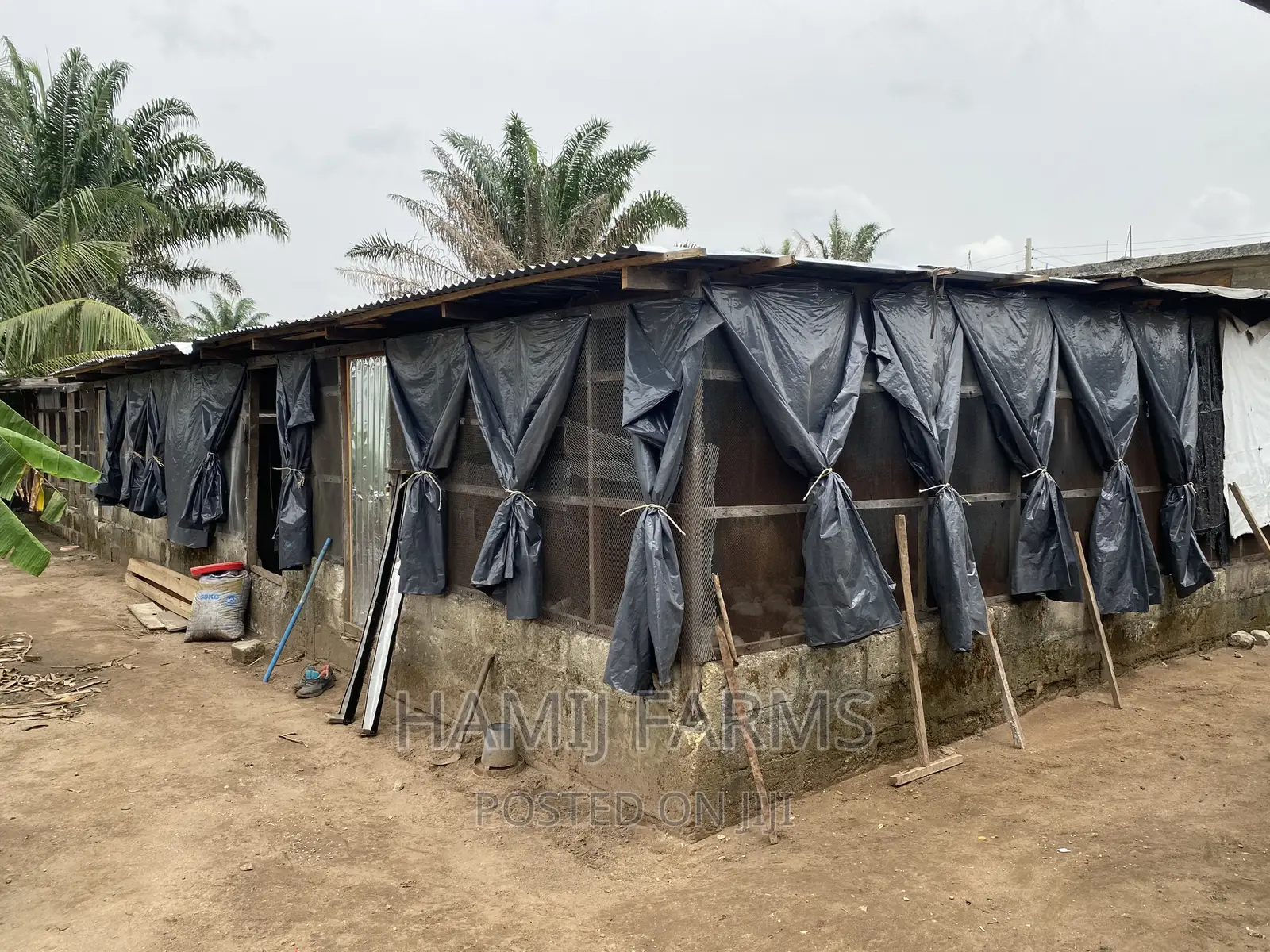 Fish Farm and Poultry