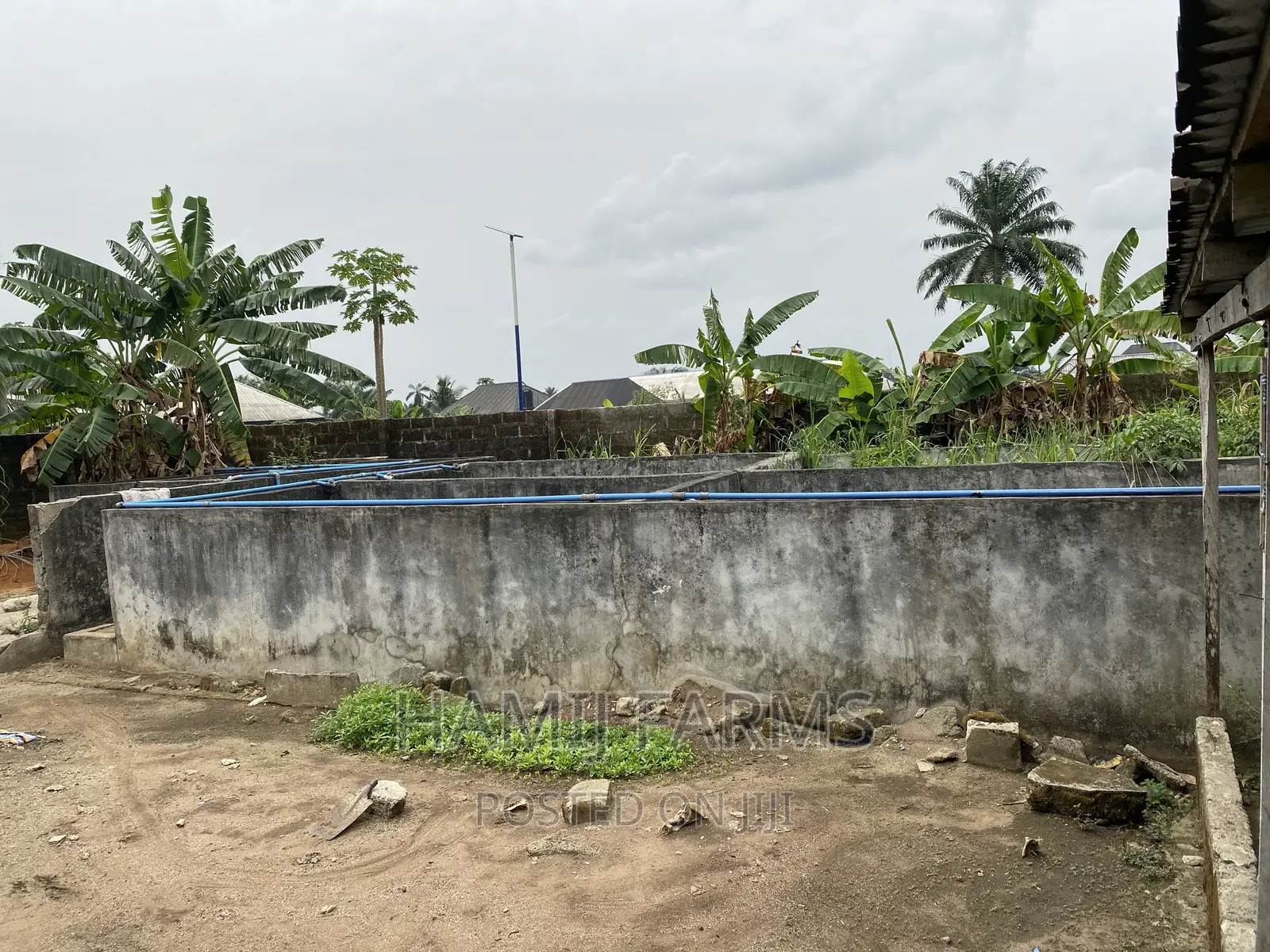 Fish Farm and Poultry