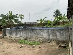 Fish Farm and Poultry