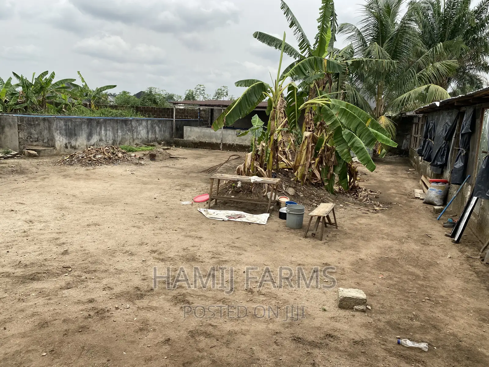 Fish Farm and Poultry