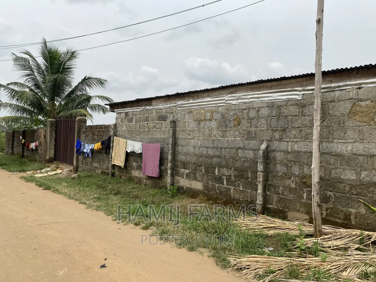 Fish Farm and Poultry