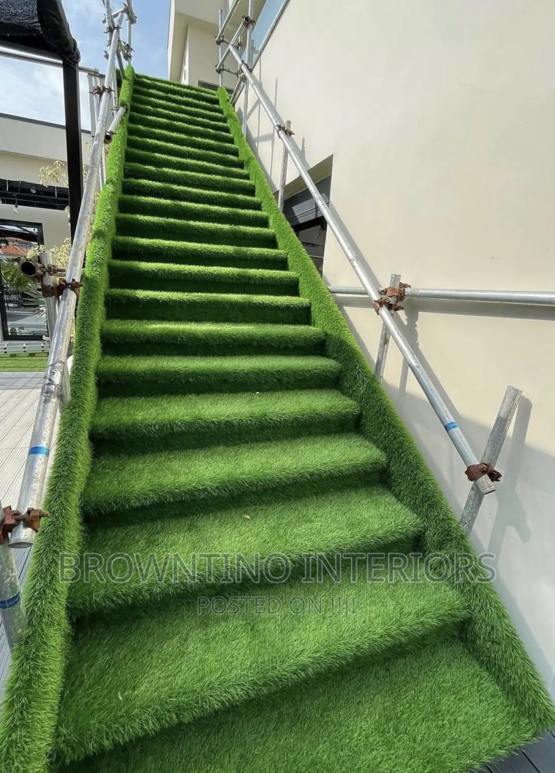Carpet Grass