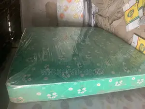 6 by 6 by 10 Inches FAMILY SIZE Mattress