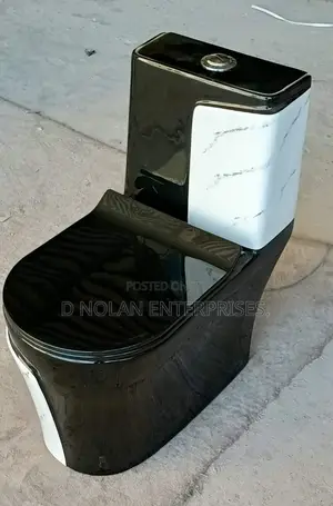 Black and White Water Closet