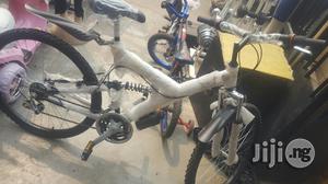 Adualt Cycling Bike