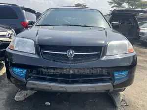 Acura MDX Touring Package 2004 Black