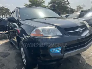 Acura MDX Touring Package 2004 Black