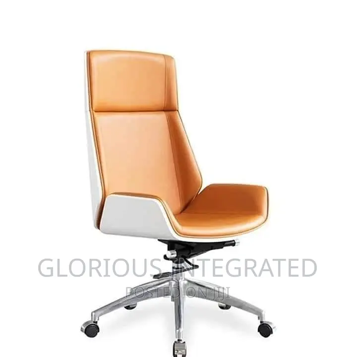 Executive Director Office Chair