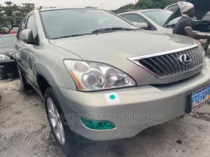 Lexus RX 350 2009 Blue