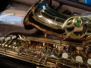 Armstrong Professional Alto Saxophone