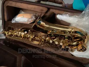 Armstrong Professional Alto Saxophone