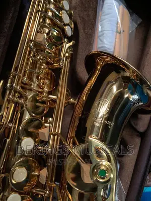 Armstrong Professional Alto Saxophone
