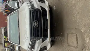 Hilux 2007 Upgraded to 2018 Tiger Face