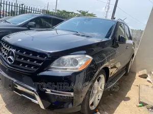 Mercedes-Benz M Class 2015 Black