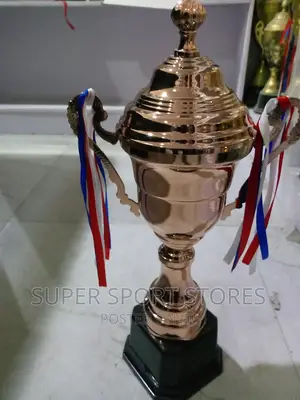 New Bronze Trophy