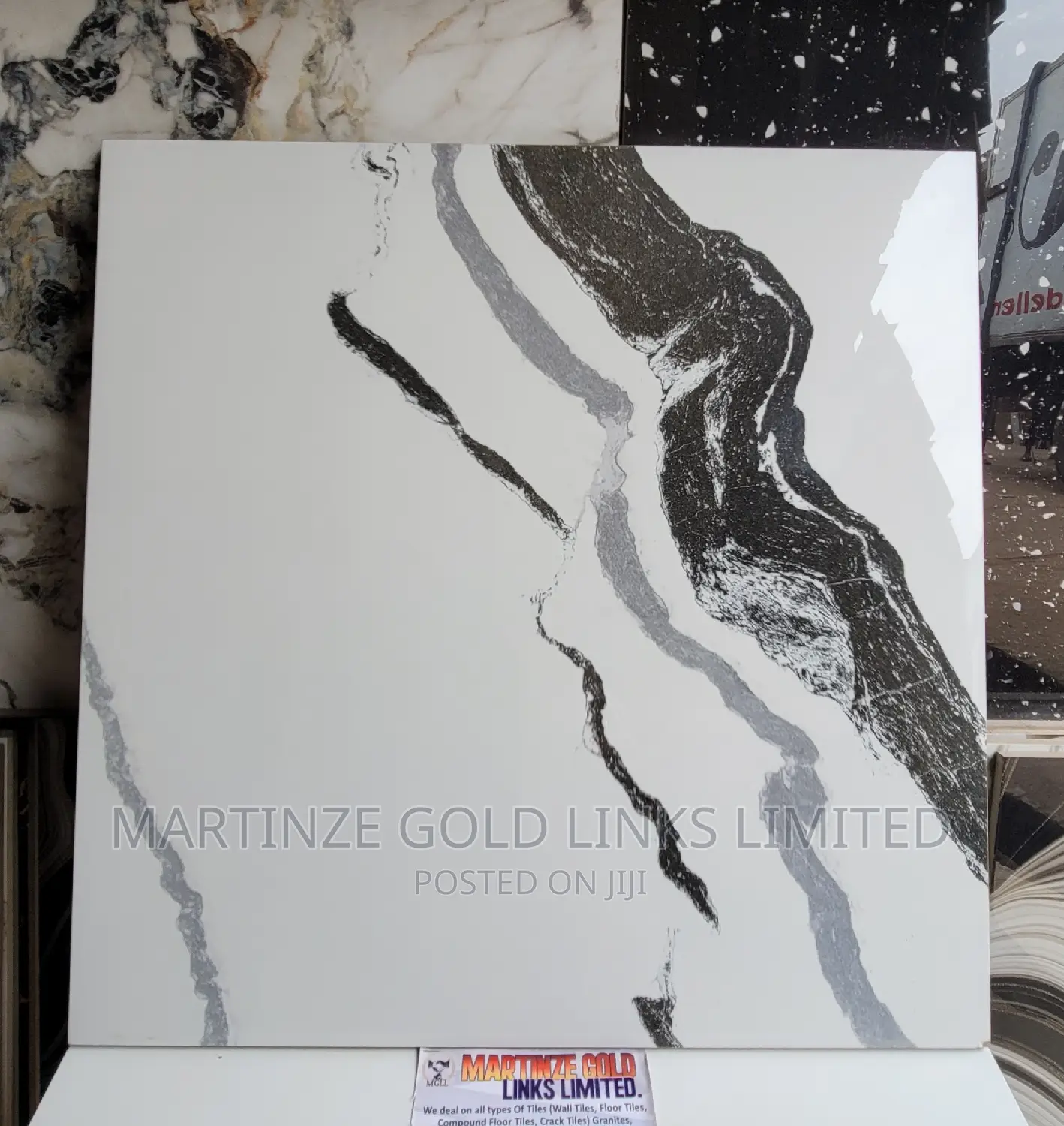 Super Polished 60x60 Tiles