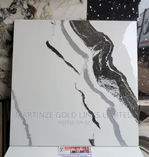 Super Polished 60x60 Tiles