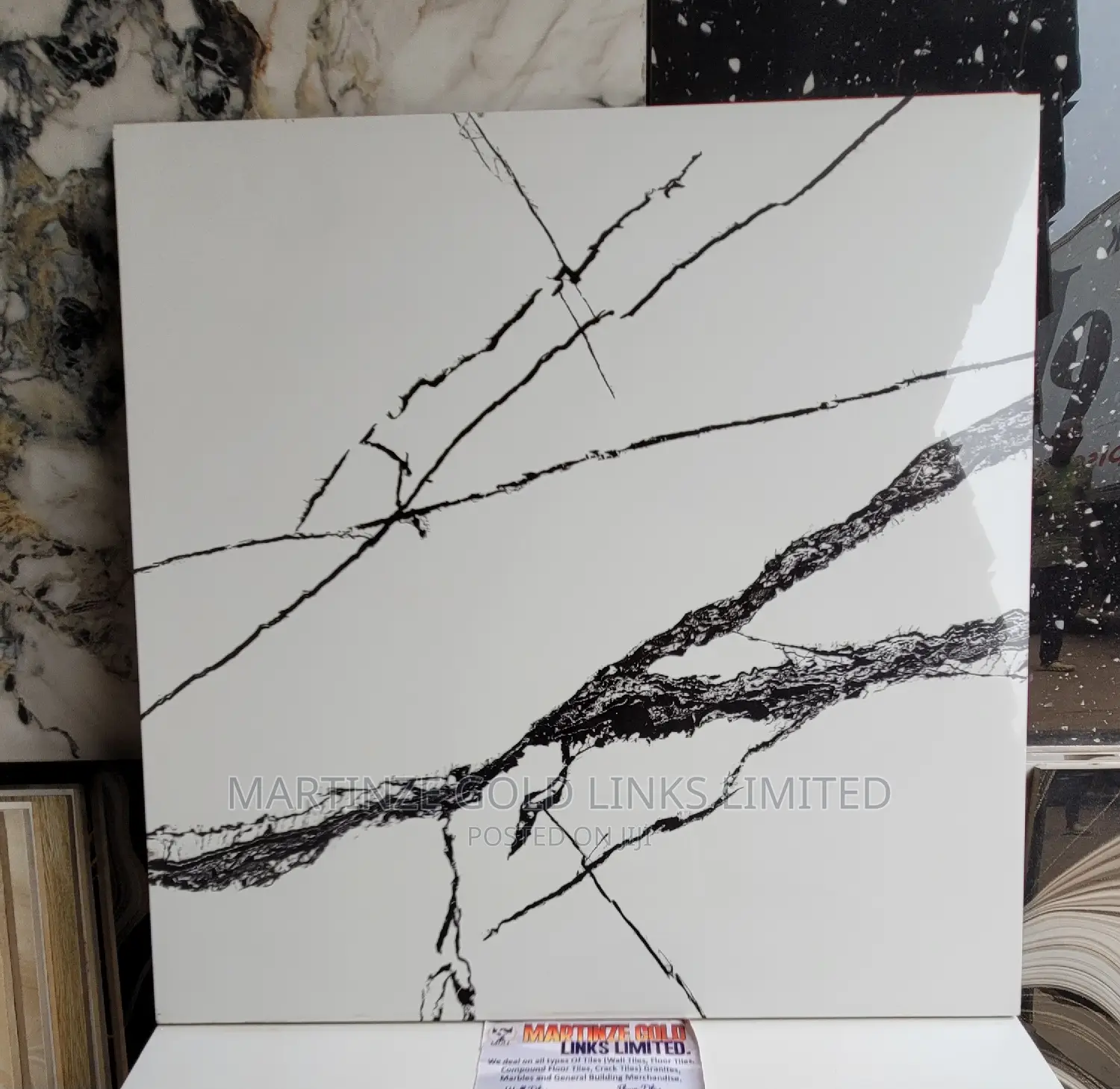 Super Polished 60x60 Tiles