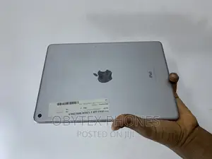 Apple iPad Air 2 128 GB Gray