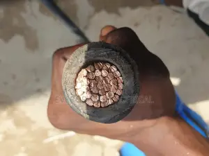 300mm Single PVC PVC Cable Copper