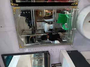 Toilet Mirrors