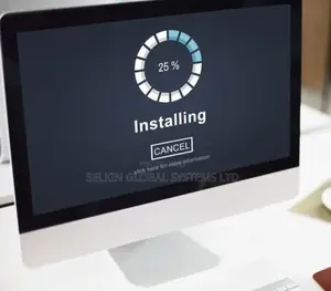 Software Installation and Recovery Services