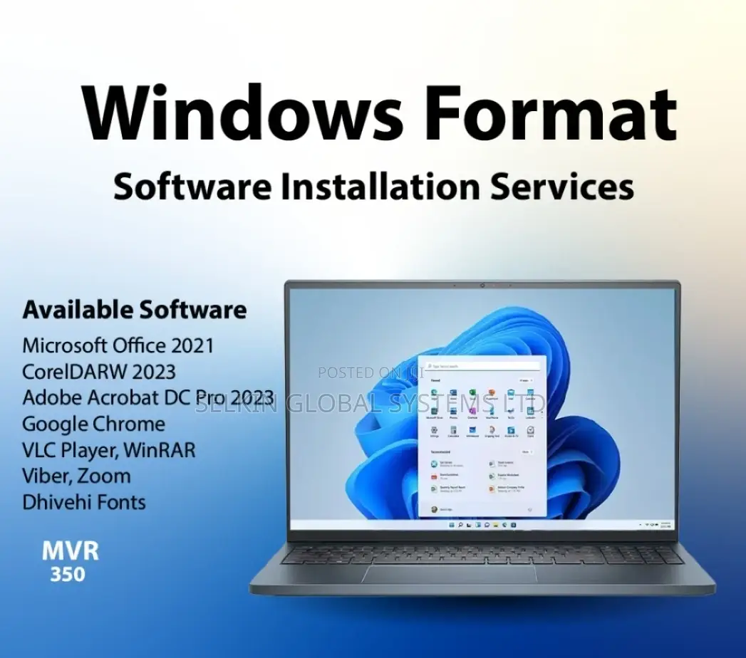 Software Installation and Recovery Services